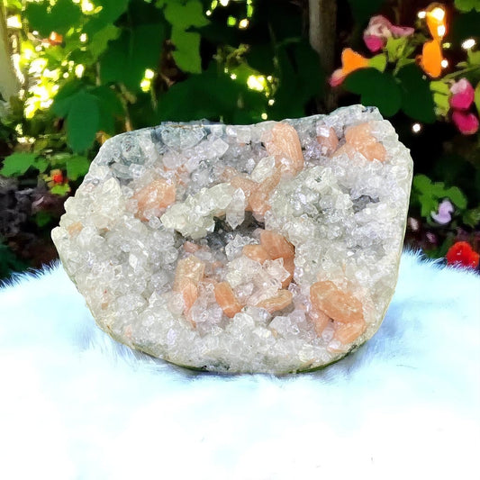 Premium Peach Stilbite & Apophyllite Cluster – Shimmering Bladed Crystals and Clear Pyramidal Points