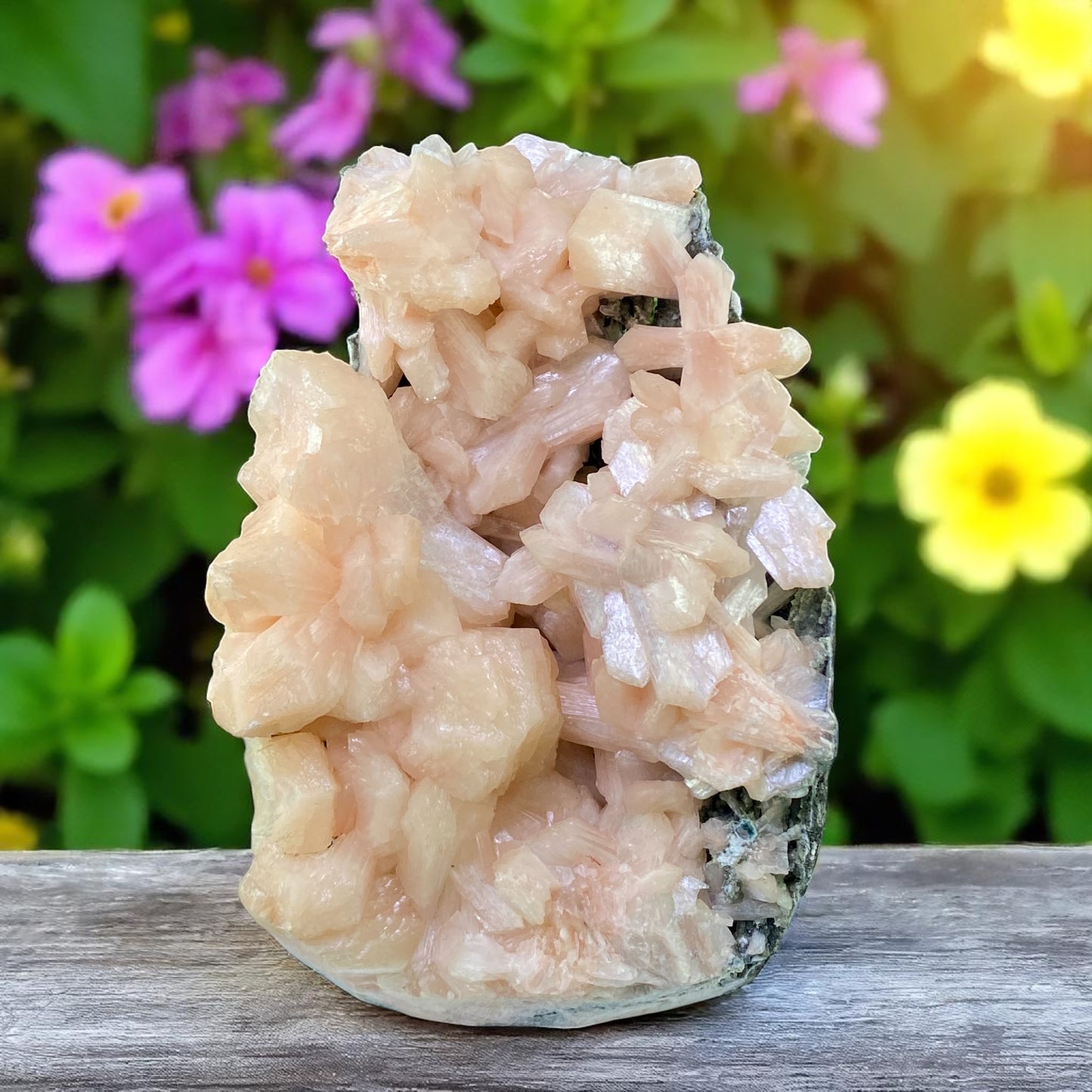 Natural Zeolite Crystal – Large Peach Stilbite & Clear Apophyllite Cluster | Healing Crystal Gift