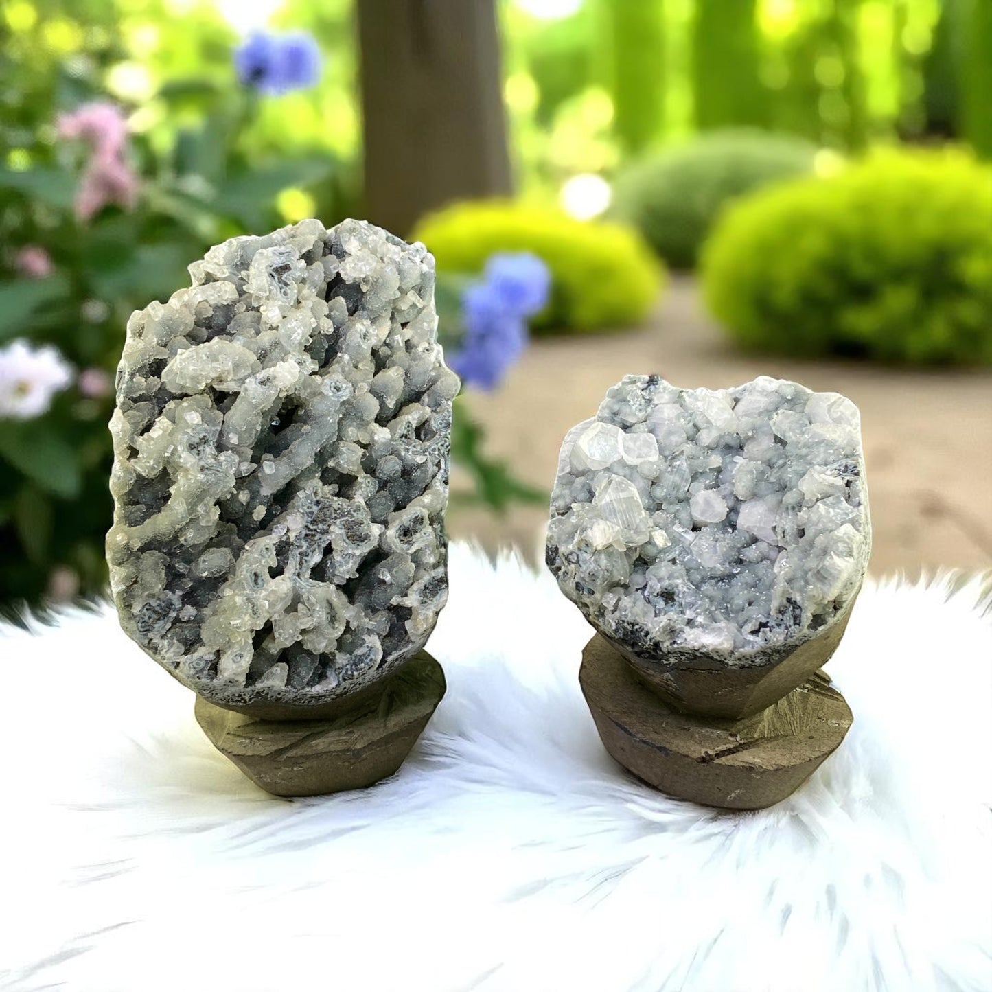 Premium Apophyllite Geode Cluster – Radiant Clear Points in Volcanic Black Chalcedony