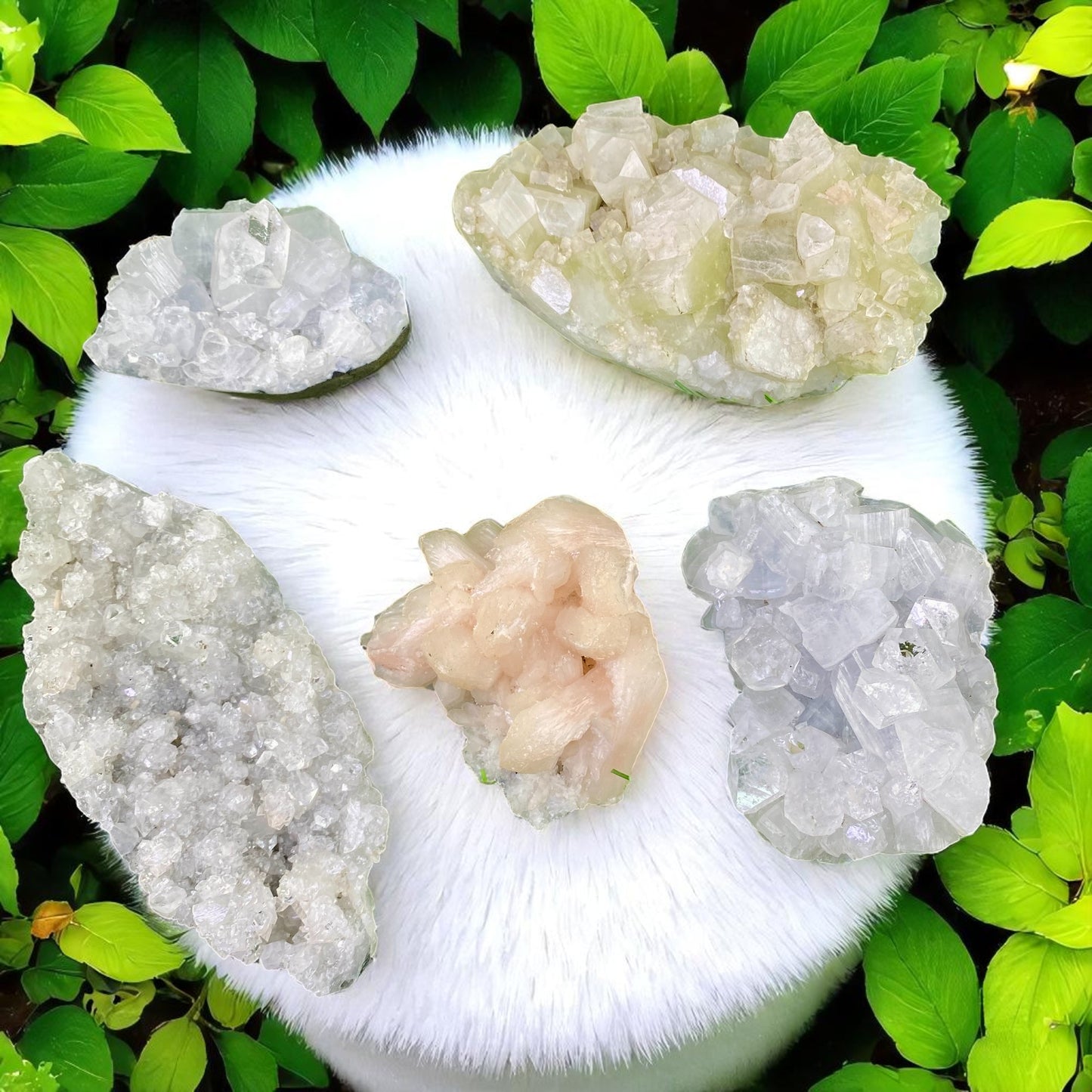 Premium Apophyllite Geode Cluster – Radiant Clear Points in Volcanic Black Chalcedony