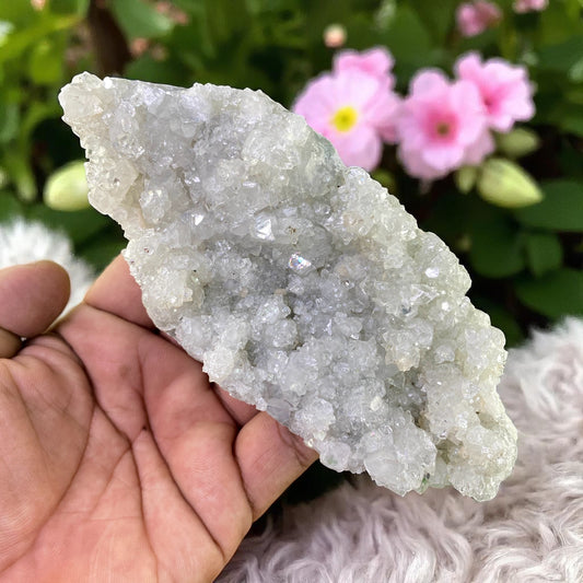 Premium Apophyllite Geode Cluster – Radiant Clear Points in Volcanic Black Chalcedony