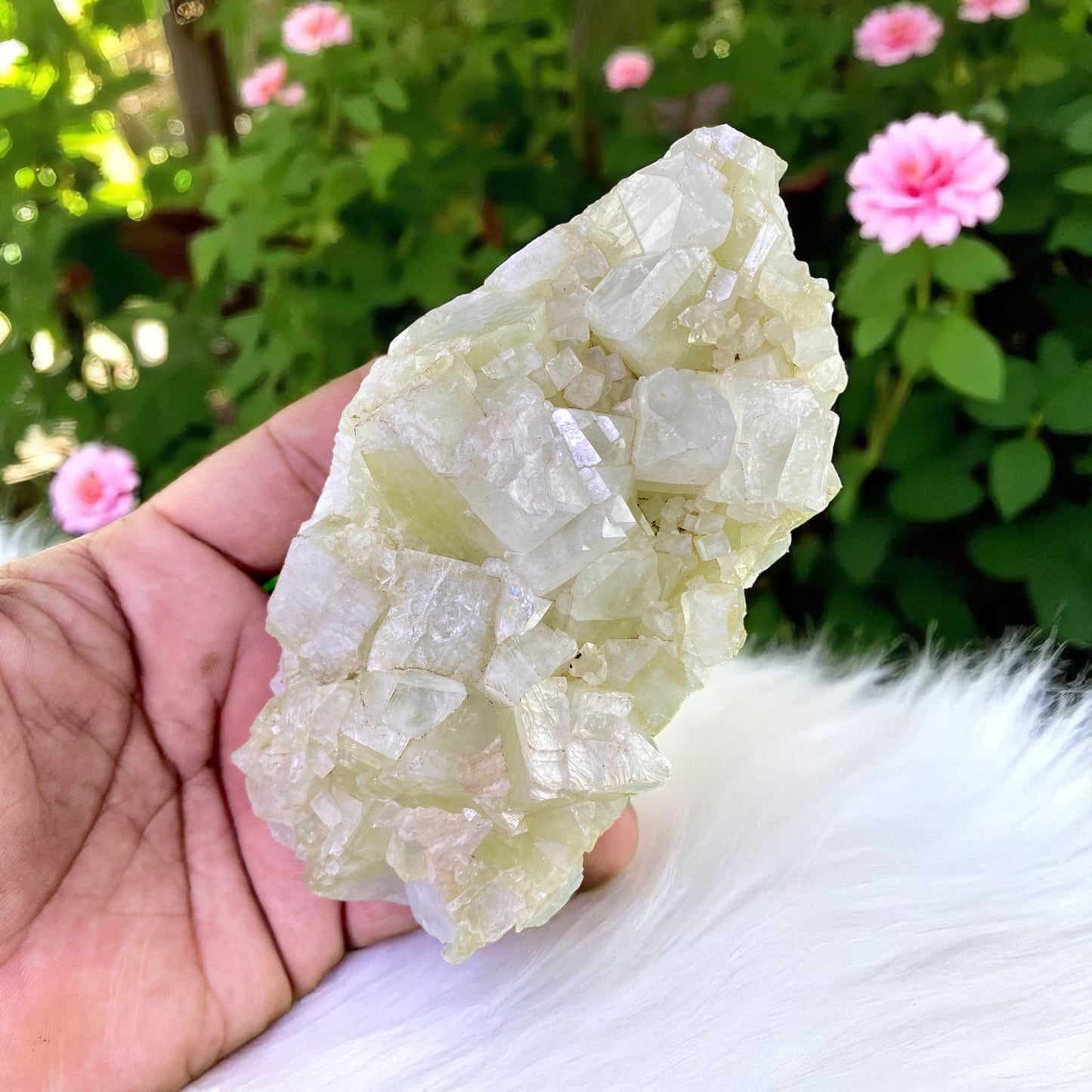 Premium Quality Green Apophyllite Cluster – Brilliant Crystal Formation in Rare Green Shade