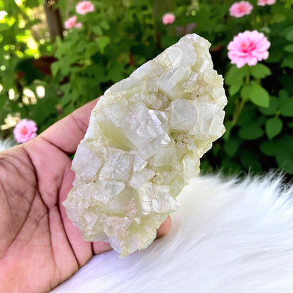 Premium Quality Green Apophyllite Cluster – Brilliant Crystal Formation in Rare Green Shade