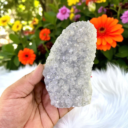 Premium Quality Apophyllite Cluster – Glassy Clear Crystals with Intense Natural Sparkle
