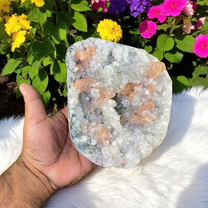 Premium Peach Stilbite & Apophyllite Cluster – Shimmering Bladed Crystals and Clear Pyramidal Points
