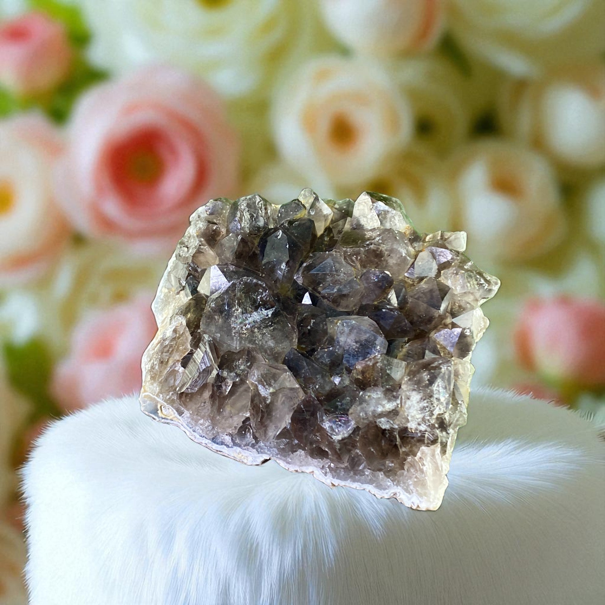 Natural Druzy Smoky Quartz Cluster – Fine Crystal Texture with Earthy Brown Sparkle