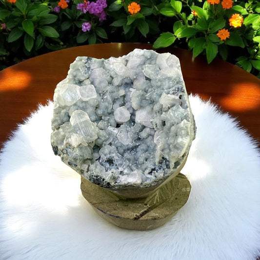Premium Apophyllite Geode Cluster – Radiant Clear Points in Volcanic Black Chalcedony