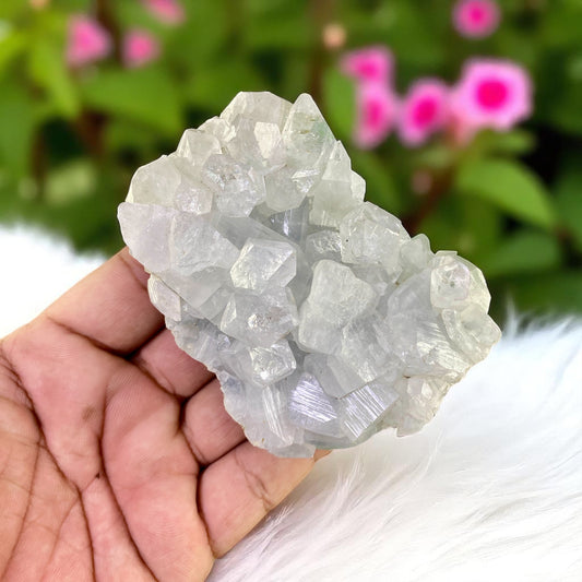 Premium Apophyllite Geode Cluster – Radiant Clear Points in Volcanic Black Chalcedony