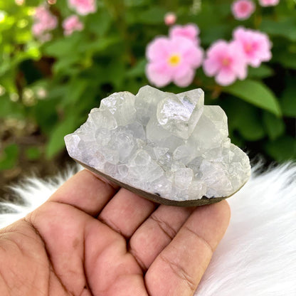 Premium Apophyllite Geode Cluster – Radiant Clear Points in Volcanic Black Chalcedony