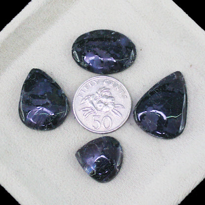 Natural Gabru Jasper Cabochon Lot – Mixed Shape Jasper Gemstones