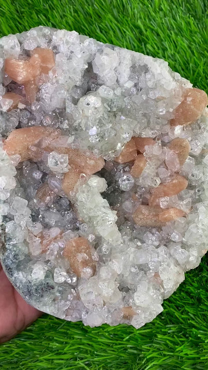 Premium Peach Stilbite & Apophyllite Cluster – Shimmering Bladed Crystals and Clear Pyramidal Points